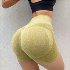 Wide Waistband Shorts